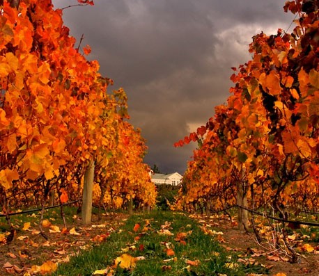 ddos压力测试平台