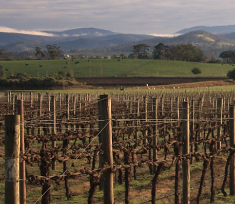 支付担保安全的CC在线压力测试